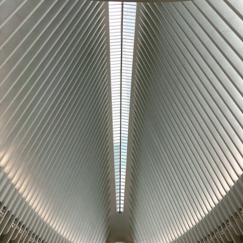 Practice Makes Perfect