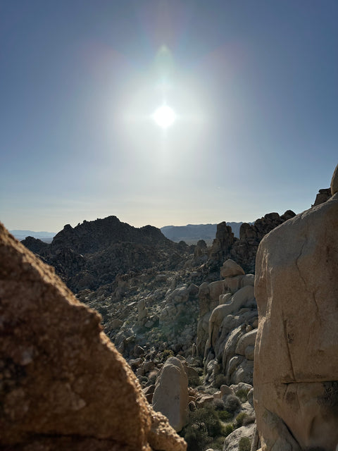 The Edge or The Center?