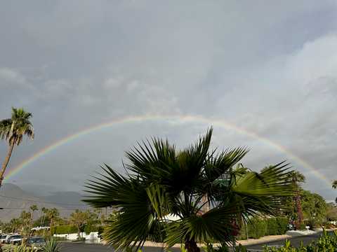 A Flare for the Dramatic