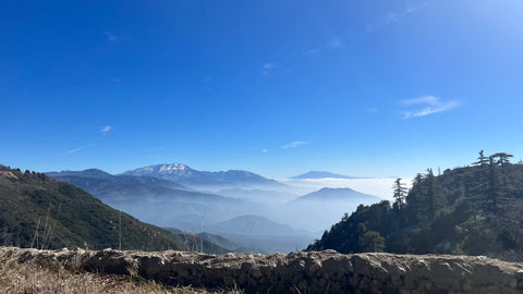 Artist of The Kingdom